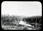 Bog Brook Bog